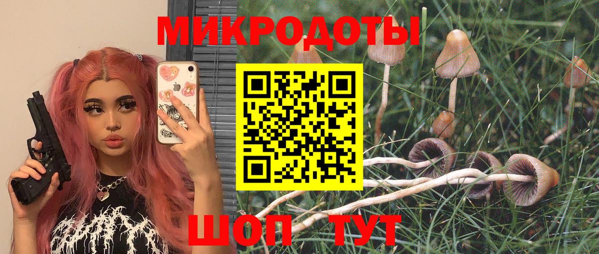 Галлюциногенные грибы ЛСД Кингисепп
