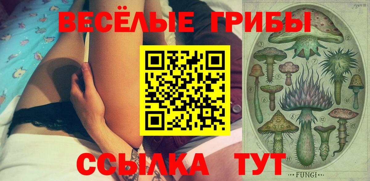 купить наркоту  Галлюциногенные грибы Psilocybe  Вход с VPN  Кингисепп 